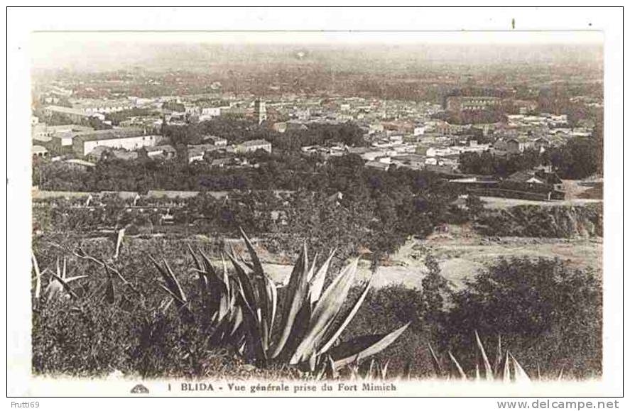 ALGERIA - 0172 Blida - vue générale prise du Fort Mimich