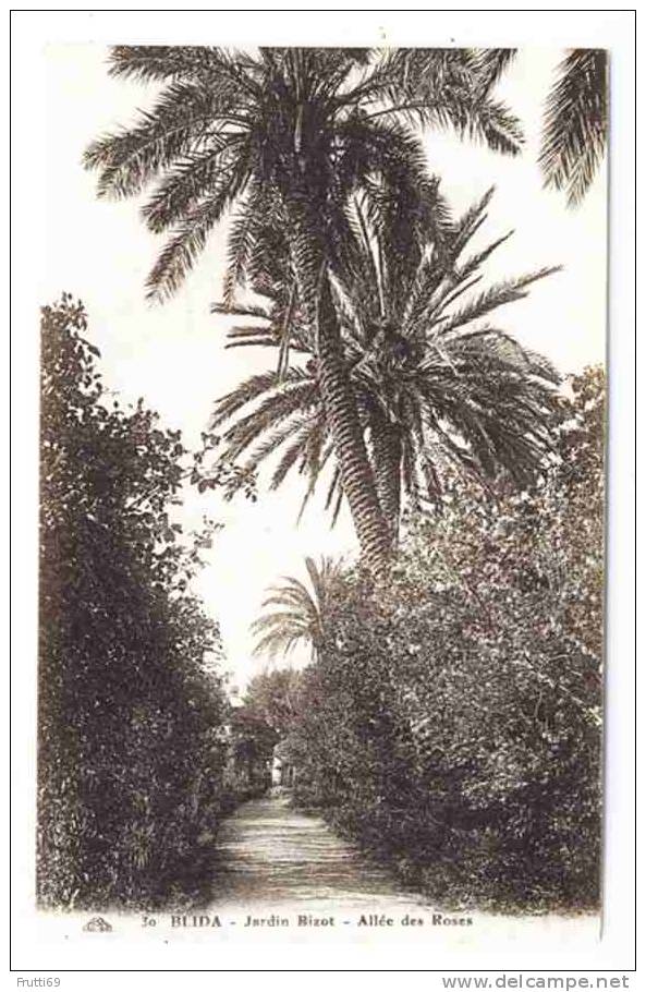 ALGERIA - 0191 Blida - Jardin Bizot - Allée des Roses