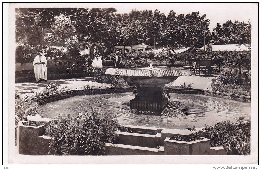 cpsm    algerie blida  jardin du marechal joffre