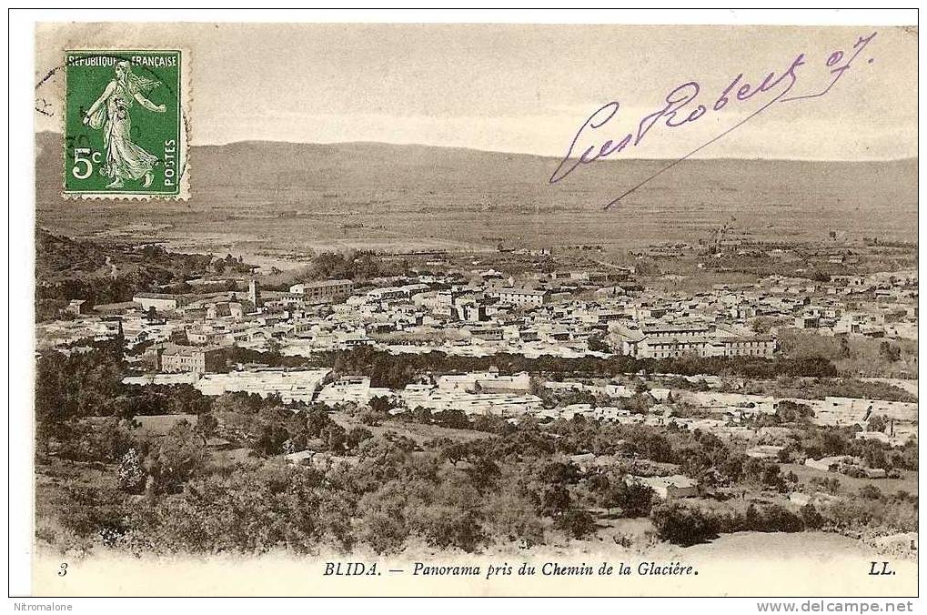 ** BLIDA - Panorama pris du chemin de la Glacière **