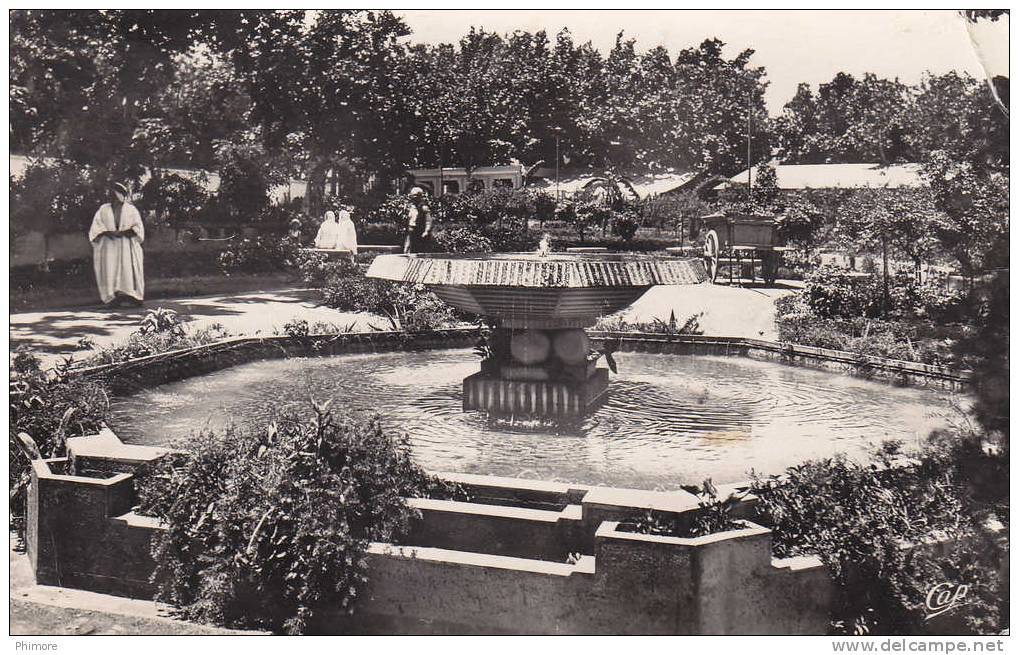 Ph-CPSM Blida (Algérie) Jardin du Maréchal Joffre, petit format