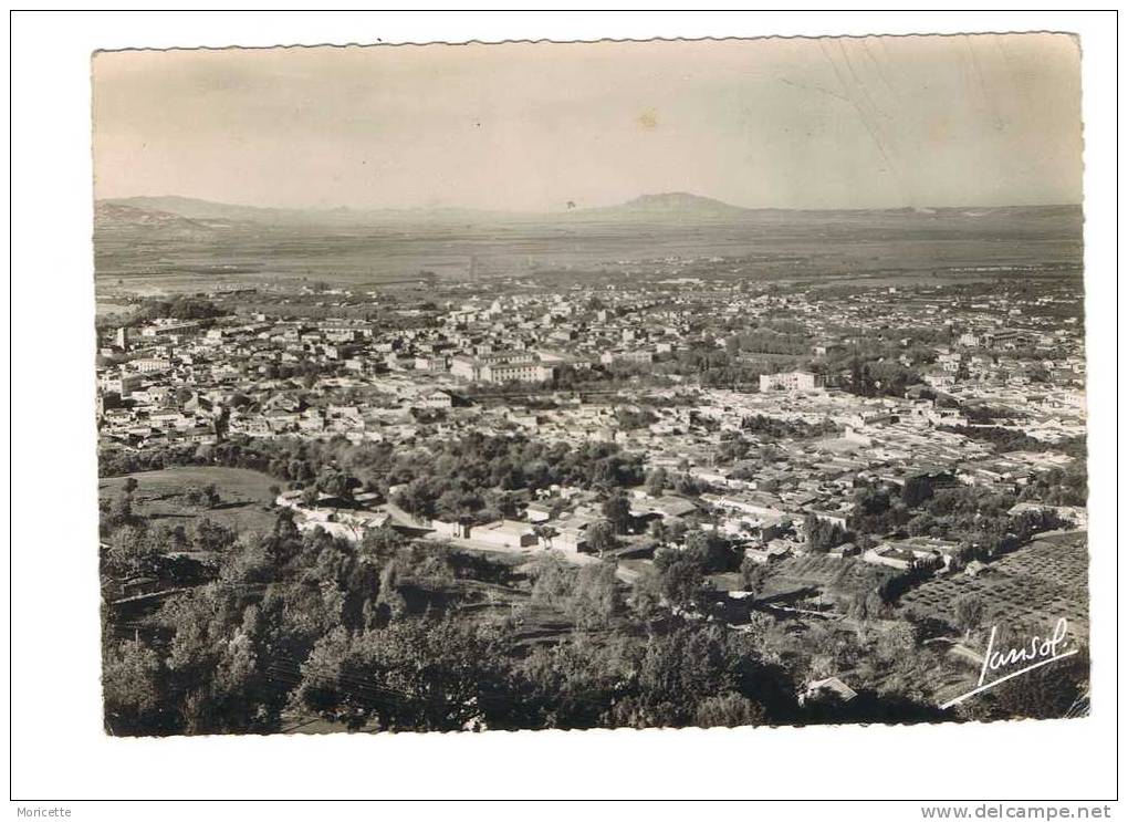 CP  4-BLIDA- Vue générale.
