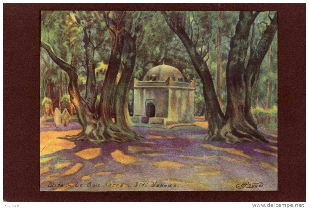 ALGERIE / ALGERIEN   Blida  Le Bois sacre Sidi Yakoub