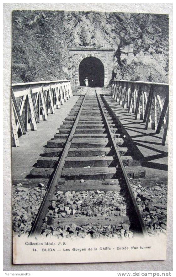 Algérie - CP N° 26D - Blida, Gorges de la Chiffa, Entré d'un Tunnel (molle) - CPA/N