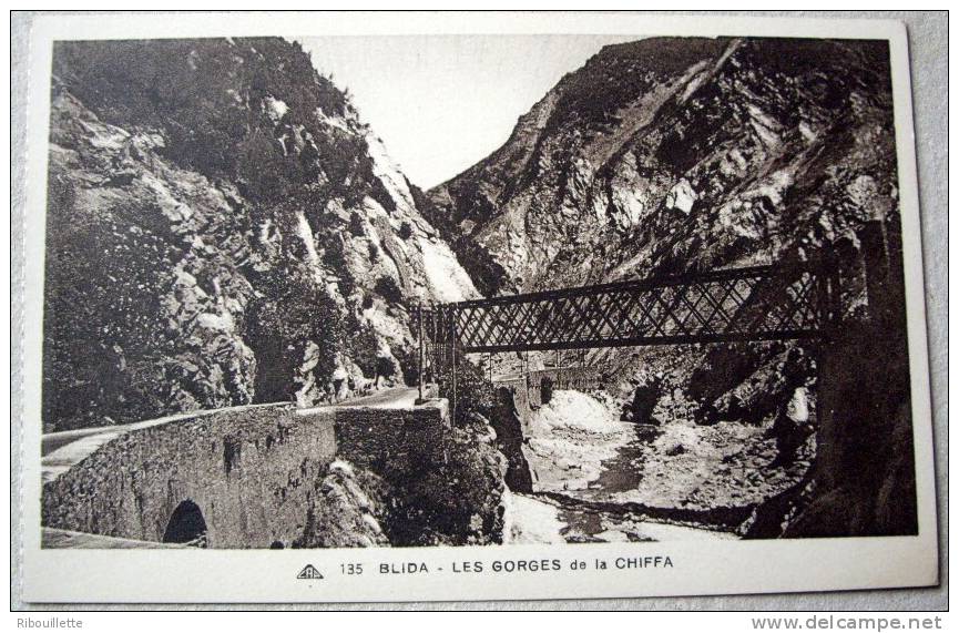 Algérie - CP N°AH378 - Blida - CPSM/N