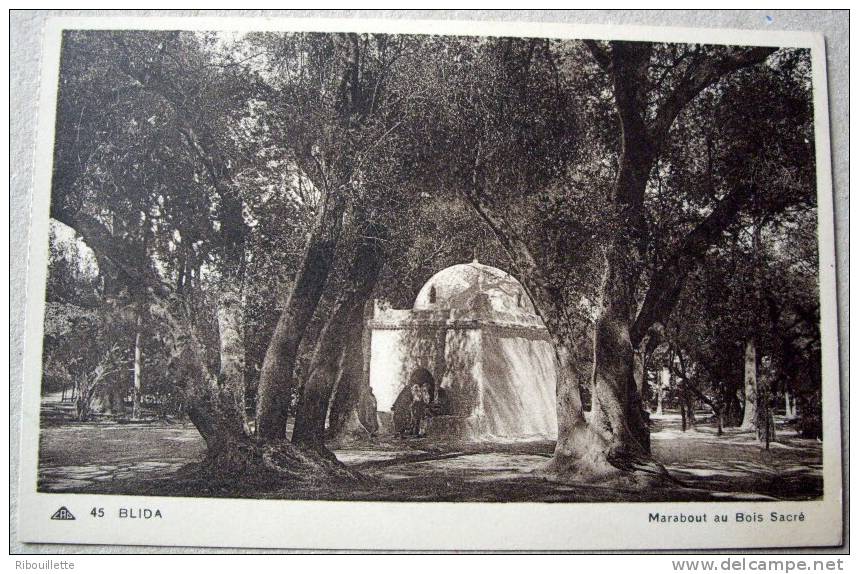 Algérie - CP N°AH380 - Blida - CPSM/N