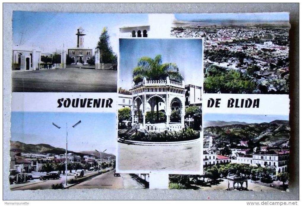 Algérie - CP N° 161F - Souvenir de ... Blida - CPSM/E en 1959