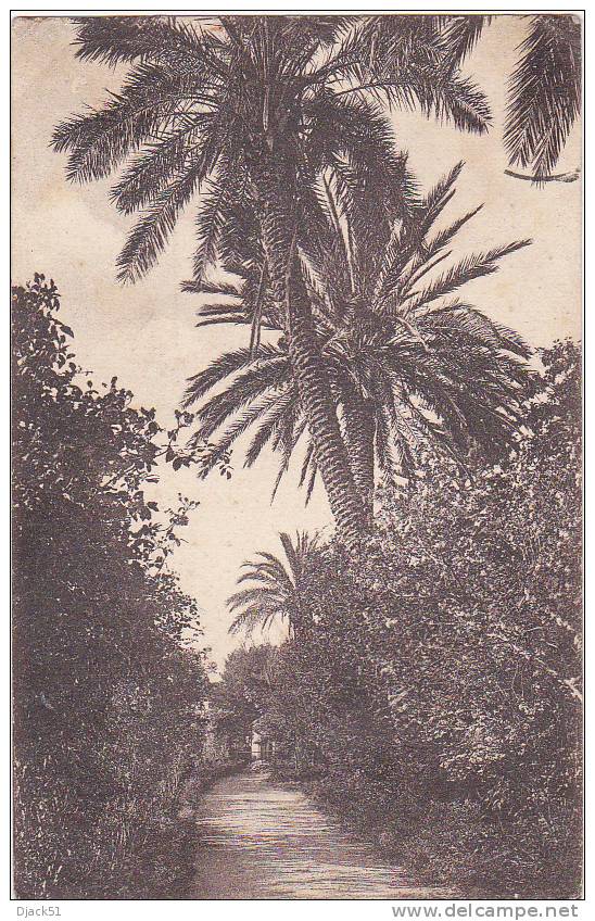 30 - BLIDA - Jardin Bizot - Allée des Roses - 1932