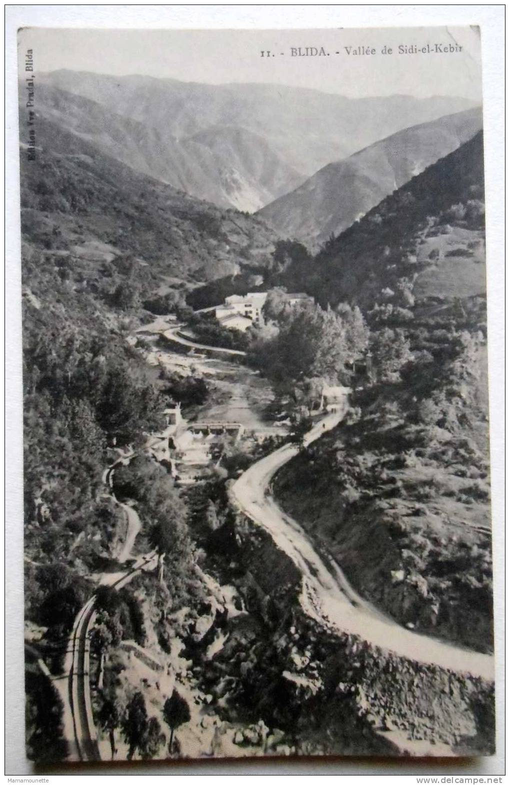 Algérie - CP N° 667G - Blida, Vallée de Sidi El Kebir - CPA/N