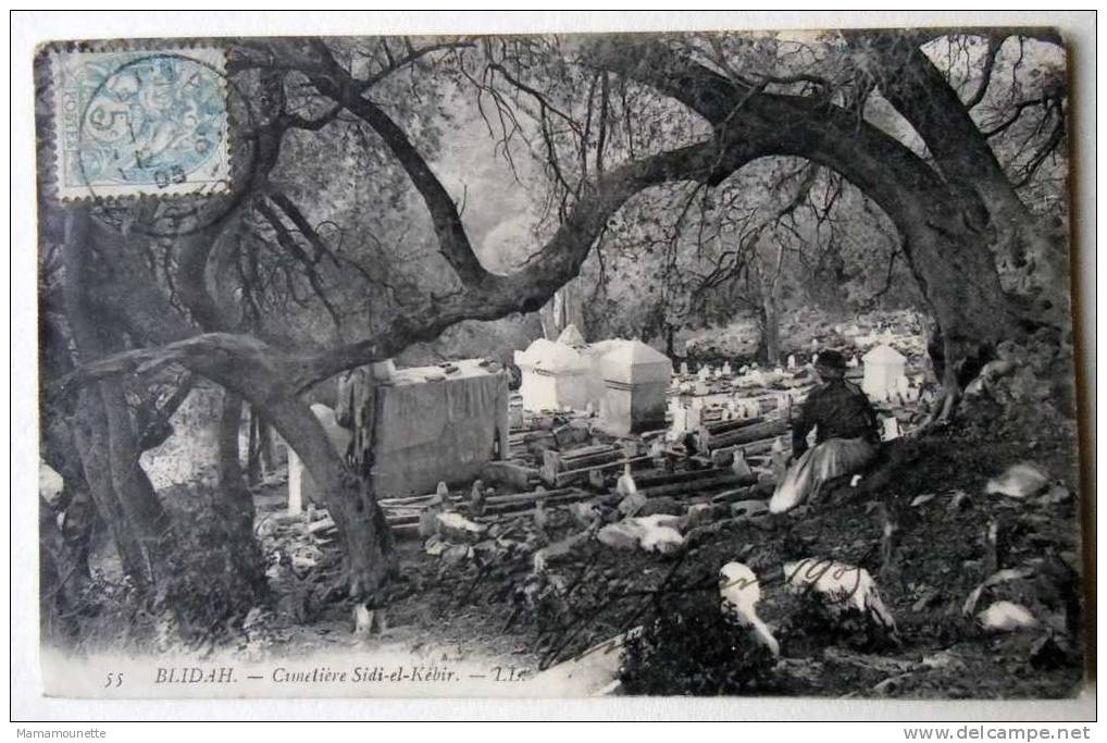Algérie - CP N° 674G - Blidah, Cimetière Sidi El Kébir - CPA/E en 1905 (Etat)