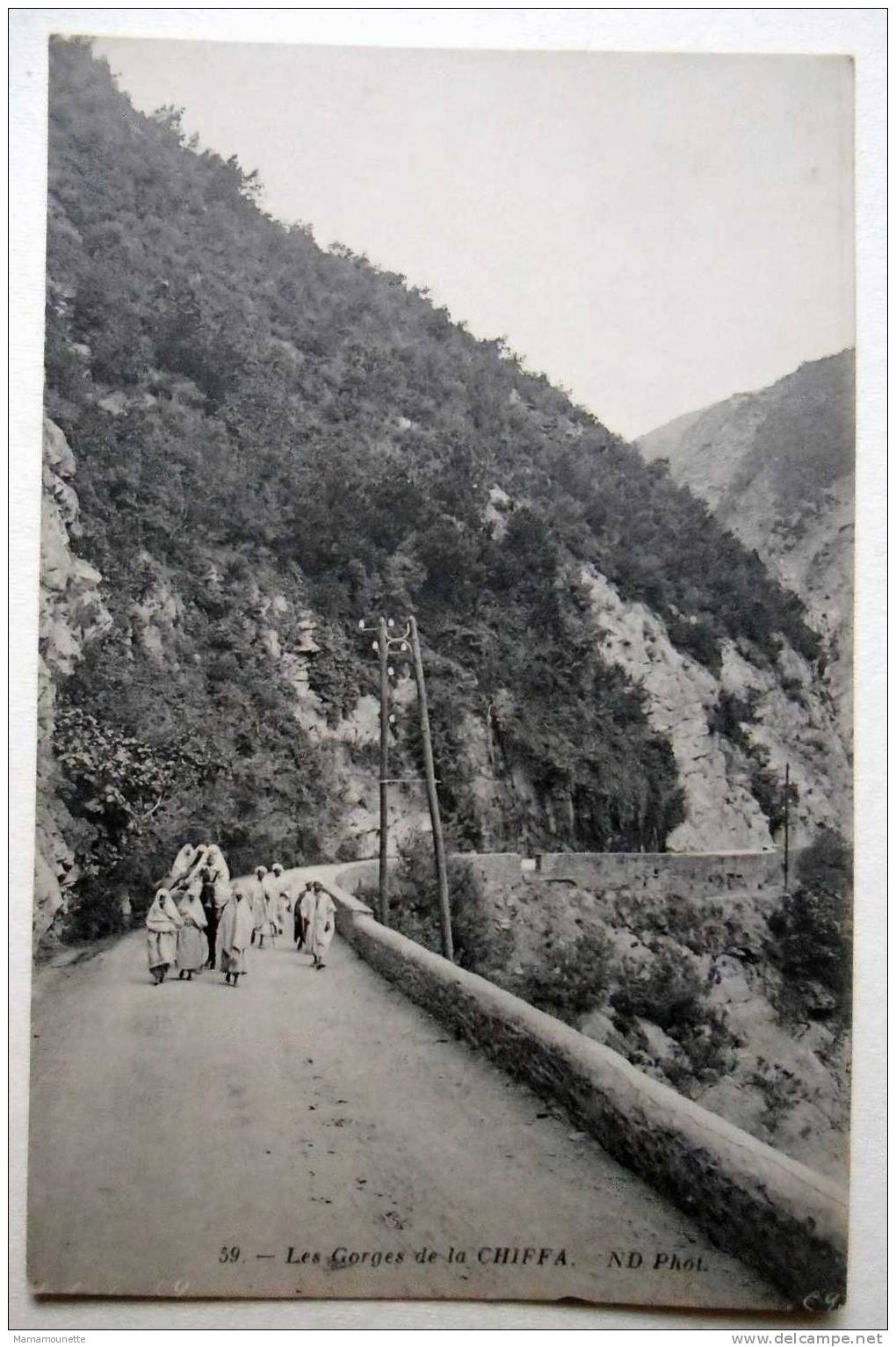 Algérie - CP N° 688G - Les Gorges de la Chiffa (Blida) - CPA/N
