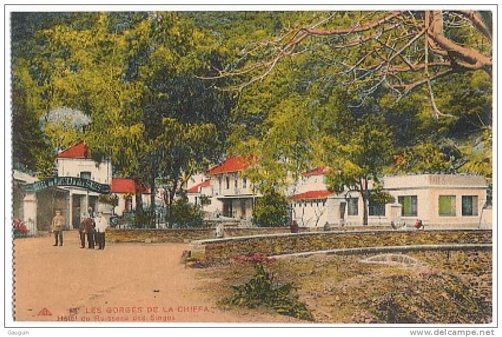 CPA - LES GORGES DE LA CHIFFA - HOTEL DU RUISSEAU DES SINGES  - Editions C.A.P - N° 83