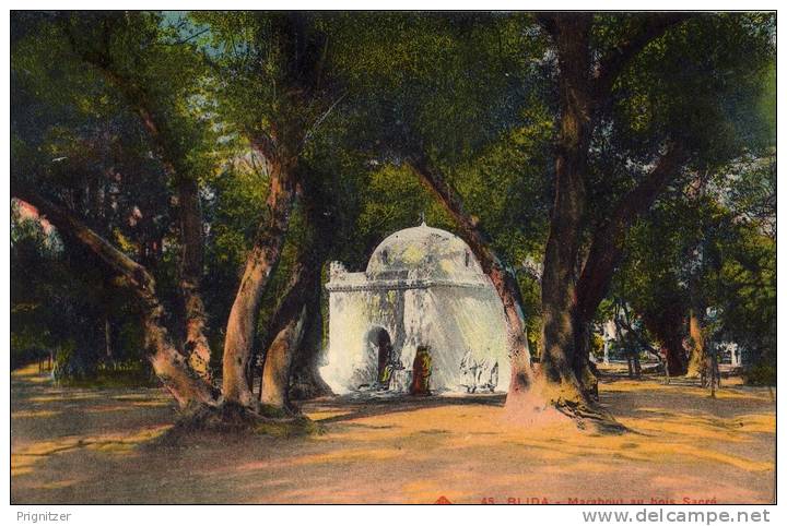 ALGERIE / ALGERIEN    Blida   Marabout  au bois Sacre