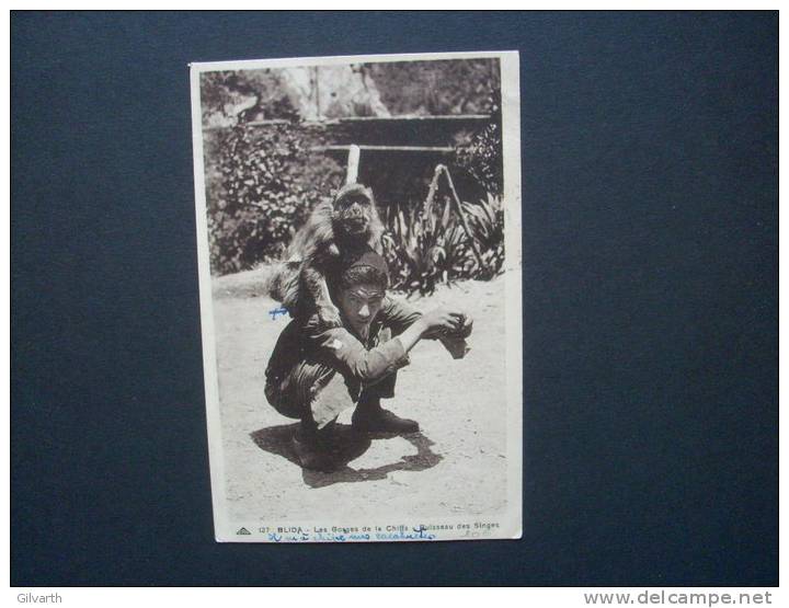 BLIDA les gorges de la chiffa ruisseau des singes - CIRCULEE 1938 L68C  CAP 127