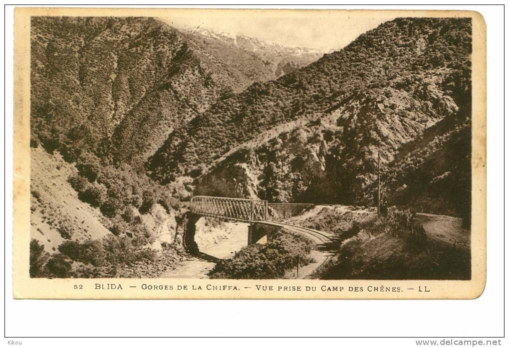 ALGERIE-Blida-Gorges de la Giffa-Vue prise du camp des chênes.