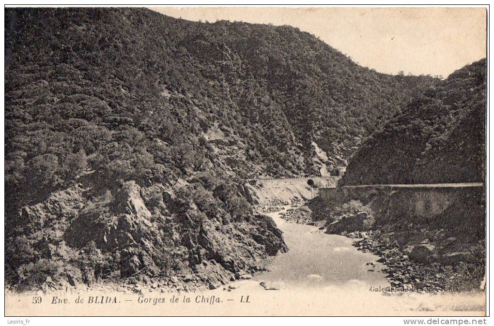 CPA - ENVIRONS DE BLIDA - GORGES DE LA CHIFFA - L. L.  - 59