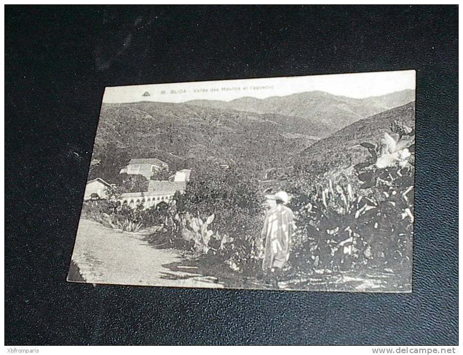 BLIDA  LA VALLEE DES MOULINS  ET  L'AQUEDUC