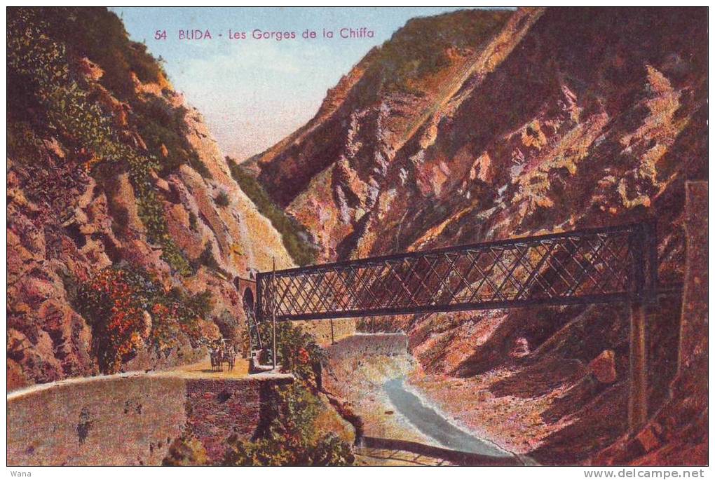 Carte postale colorisée ALGERIE BLIDA Les Gorges de la Chiffa