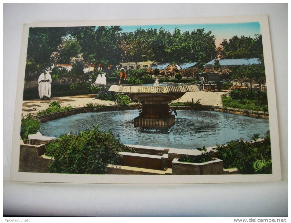 ALGERIE - BLIDA -  LE JARDIN DU MARECHAL JOFFRE (EDITION C.A.P. PARIS N° 83)