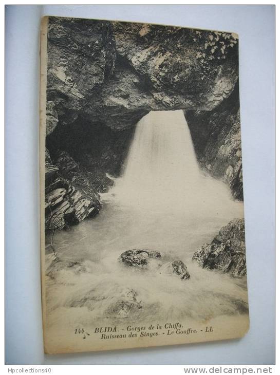 ALGERIE - BLIDA -  GORGES DE LA CHIFFA - RUISSEAU DES SINGES - LE GOUFFRE - 1928  (EDITION LL. PARIS N° 144)
