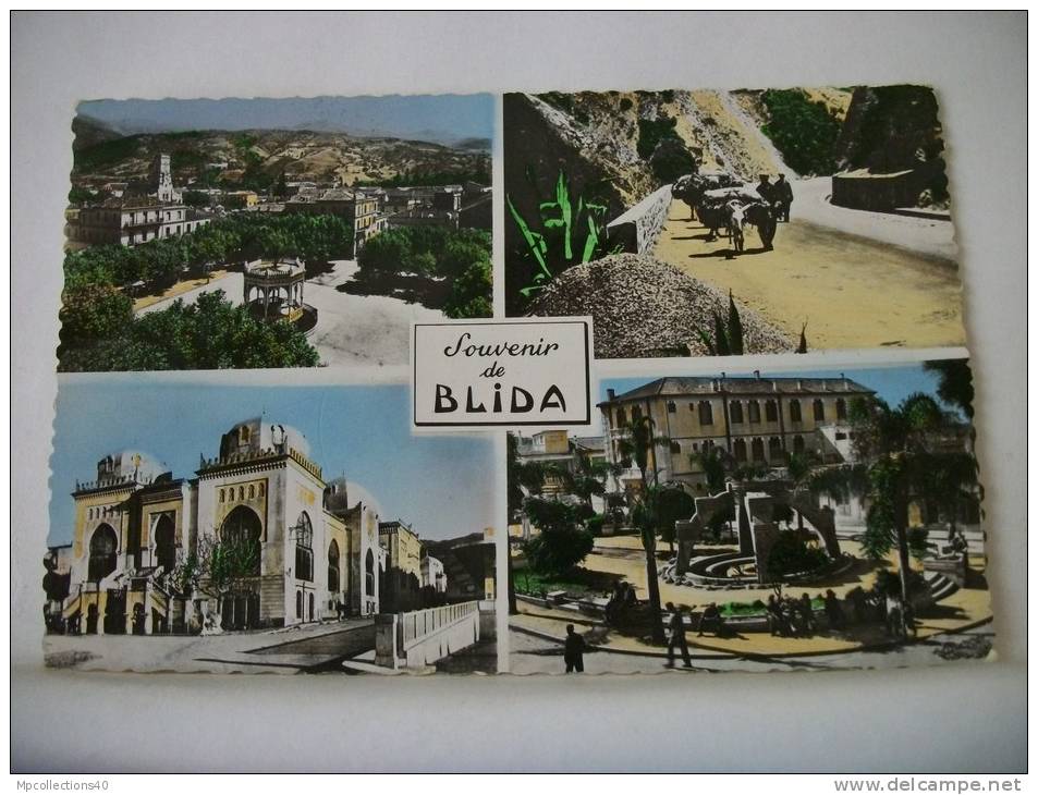 ALGERIE - BLIDA - SOUVENIR DE BLIDA - 1956 MULTIVUES (EDITION JOMONE ALGER N° 1202)