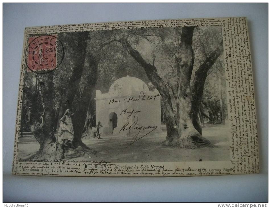 ALGERIE - BLIDA - MARABOUT DE SIDI YACOUB - 1903 ANIMATION (EDITION I. BENSIMON BLIDA N° 8)