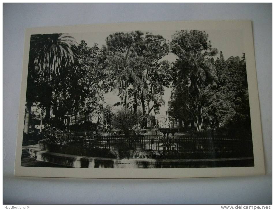 ALGERIE - BLIDA - JARDIN BIZOT (EDITION A. MAUGUIN BLIDA N° 3)