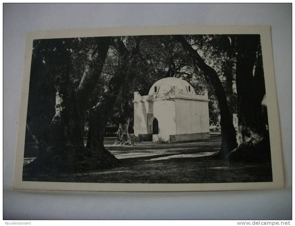 ALGERIE - BLIDA - LE BOIS SACRE MARABOUT DE SIDI YACOUB (EDITION A. MAUGUIN BLIDA N° 1)