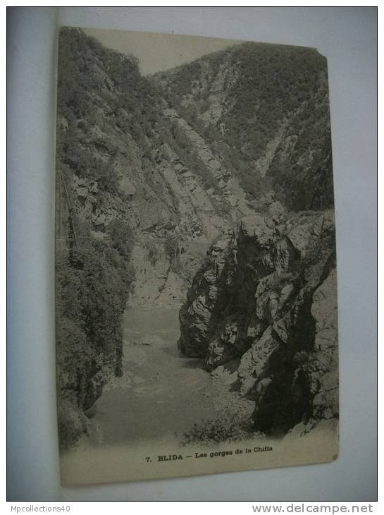 ALGERIE - BLIDA - LES GORGES DE LA CHIFFA - (EDITION COLLECTION IDEALE P.S. N° 7)