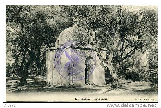 ALGERIE - BLIDA ++ Bois Sacré ++