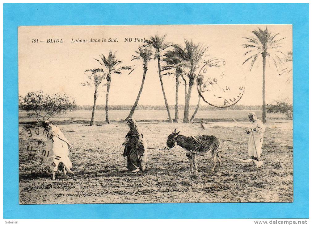 Blida. - Labour dans le Sud.