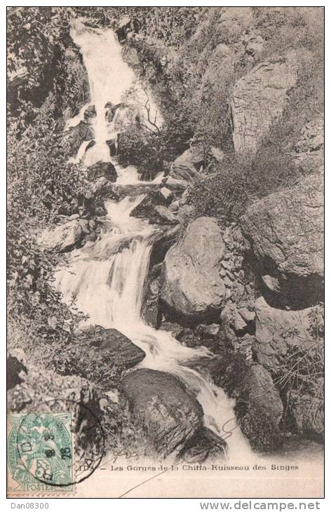 BLIDA LES GORGES DE LA CHIFFA RUISSEAU DES SINGES