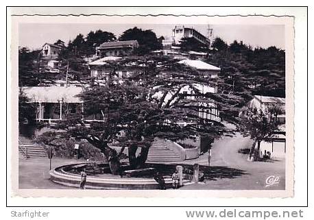 algérie chrea la place et les hotels