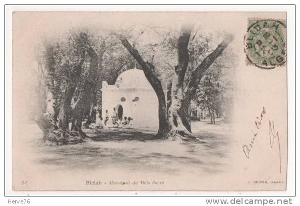 ALGERIE -  BLIDA - BLIDAH - Marabout du Bois Sacré