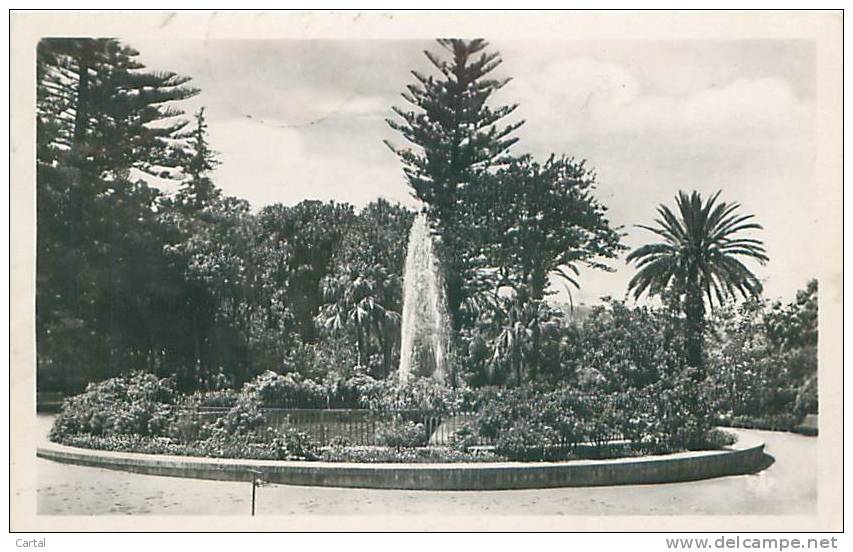 BLIDA - Jardin Bizot (CAP. 31)