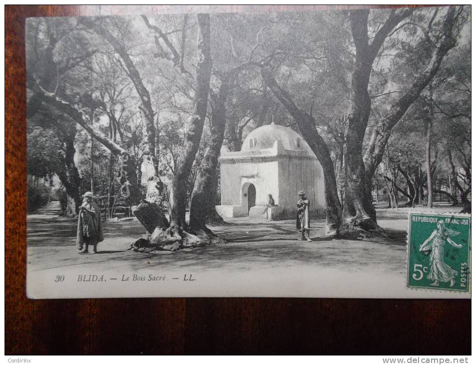 BLIDA LE bois sacré