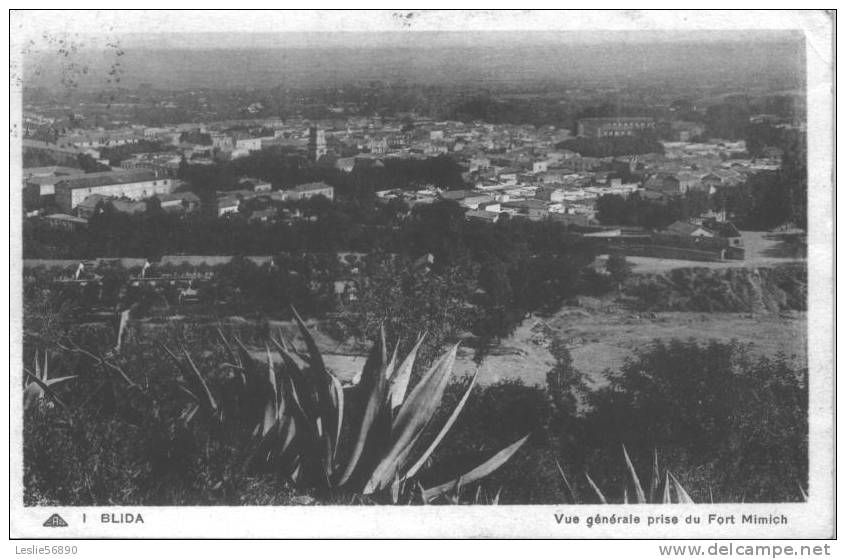 BLIDA     ***  vue générale prise du fort Mimich  ***