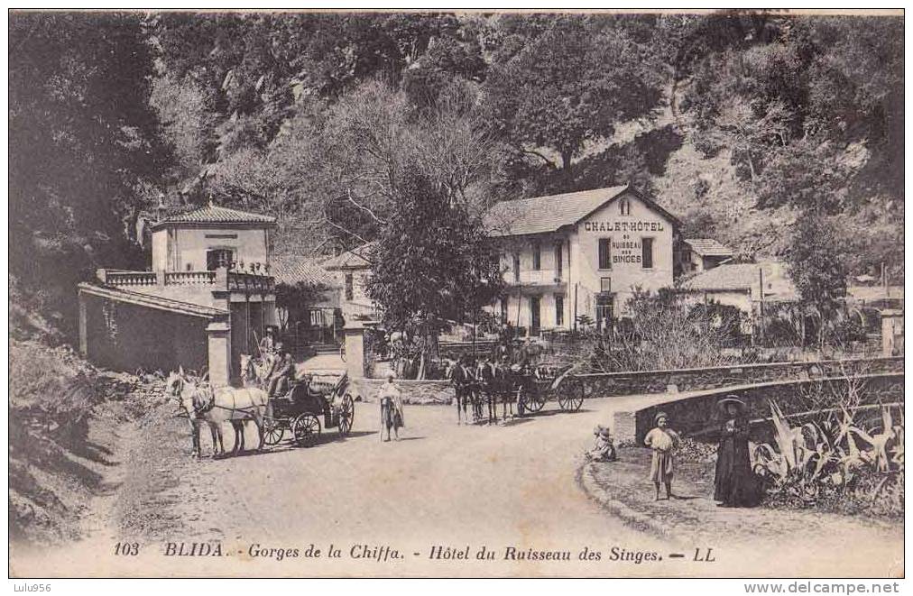CPA * * BLIDA * * Gorges de la Chiffa - Hôtel du Ruisseau des Singes