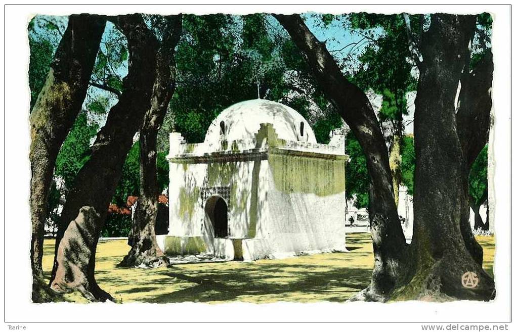 Algérie  Le marabout du bois sacré de BLIDA