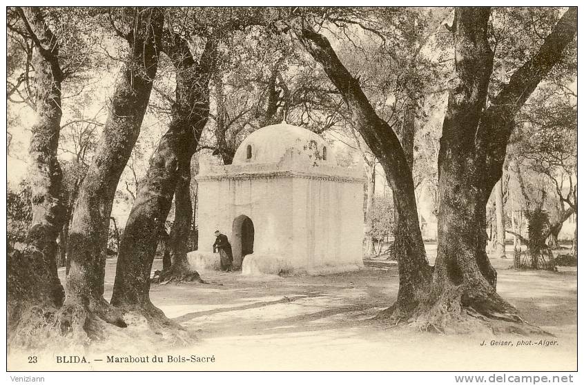 BLIDA - Marabout du Bois Sacré