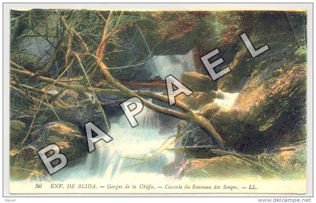 Blida (Algérie) - Aux environs ... Gorges de la Chiffa - Cascade du Ruisseau des Singes - Circulé en 1923