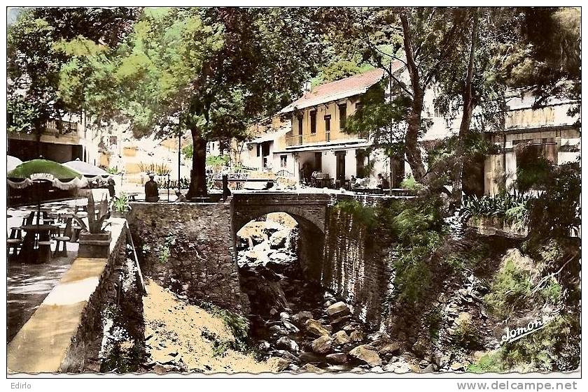 ALGERIE - Blida - Auberge de la Chiffa - TTBE neuve