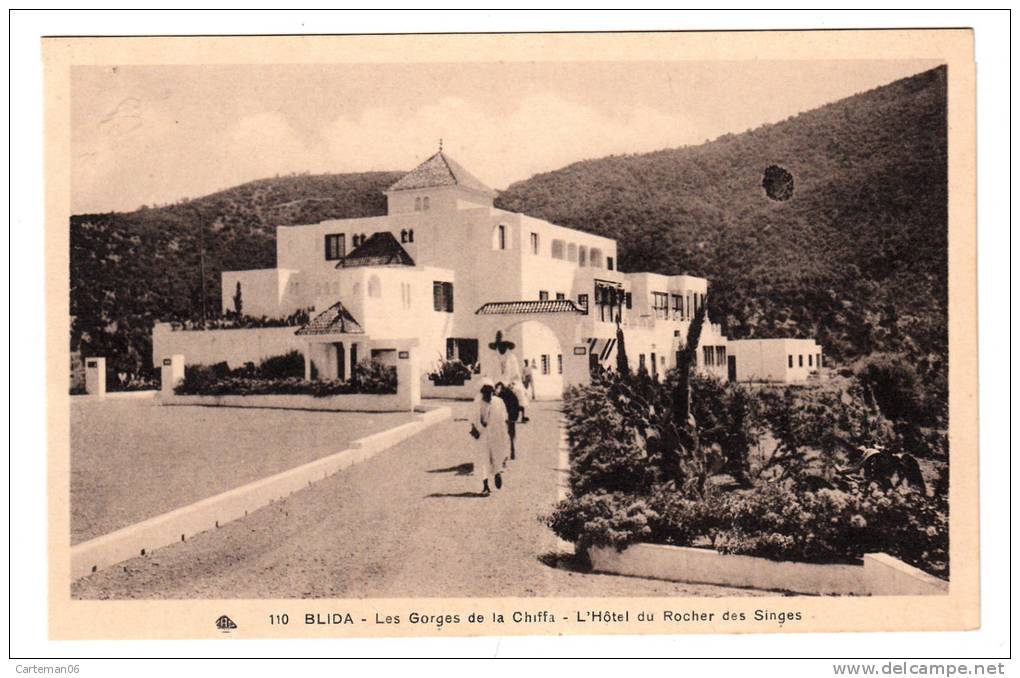 Algérie - Blida - Les Gorges de la Chiffa - L´hôtel du Rocher des singes - Editeur CAP N° 110