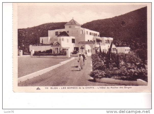BLIDA -  L´Hôtel du Rocher des Singes - n° 110