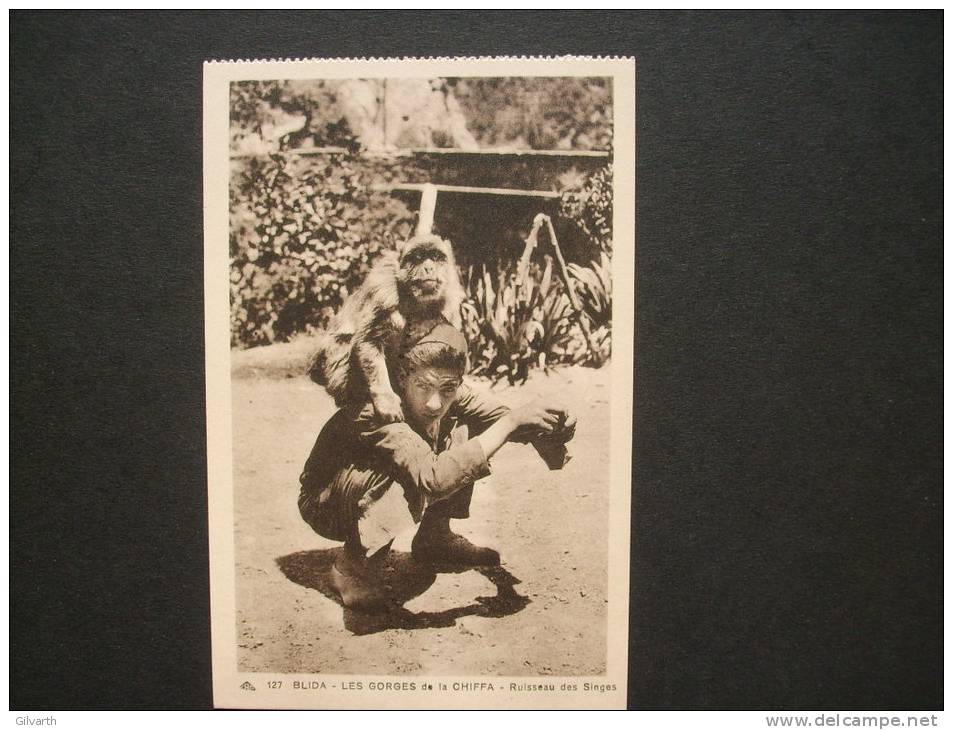 BLIDA -  ruisseau des singes  - cap 127 - non circulée L68G
