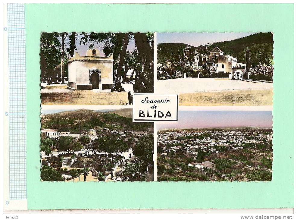 MEA53 ALGERIE Souvenir de BLIDA multivues Marabout de Sidi Yacoub Chiffa jardin Ricci (voir descript 2scan)  format CPA