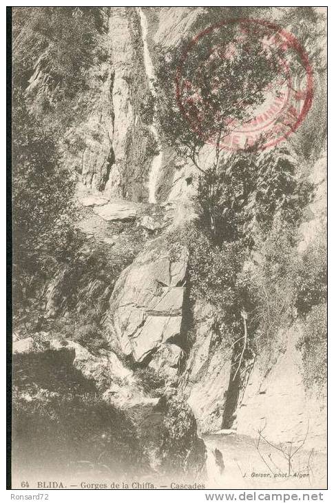 BLIDA - Gorges de la Chiffa - Cascades
