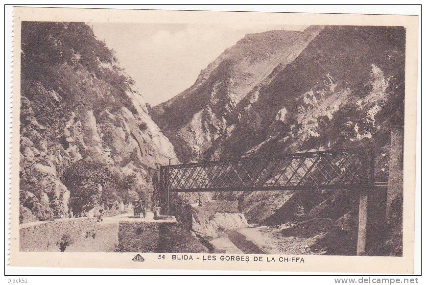 54 - BLIDA - LES GORGES DE LA CHIFFA (Petite animation)