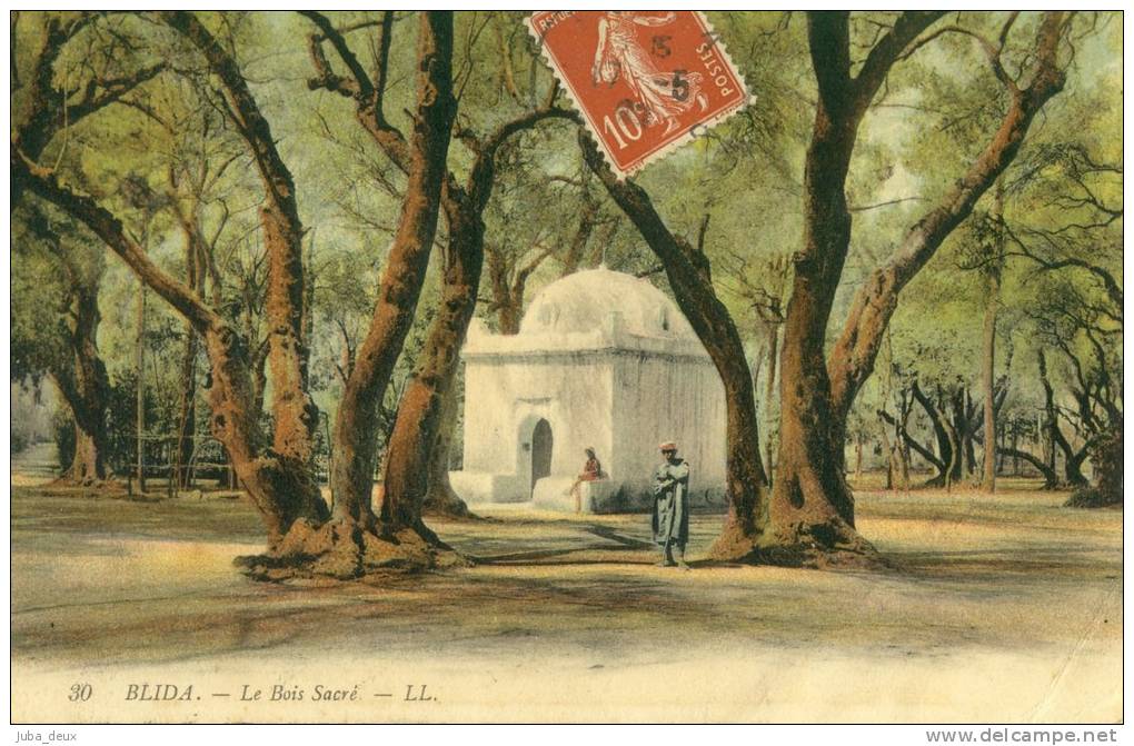 Blida .  Le Bois Sacré .  Marabout .  BELLES COULEURS .