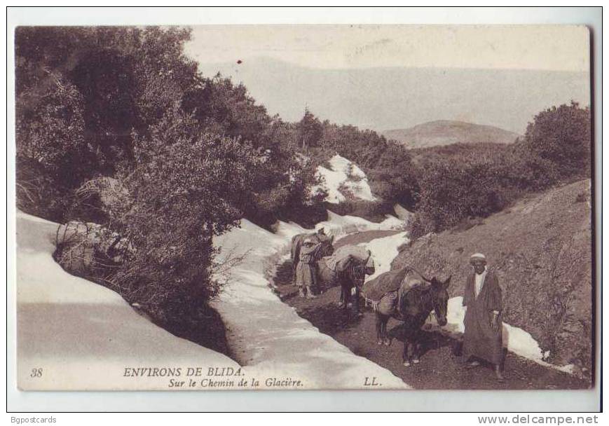 Environs de Blida